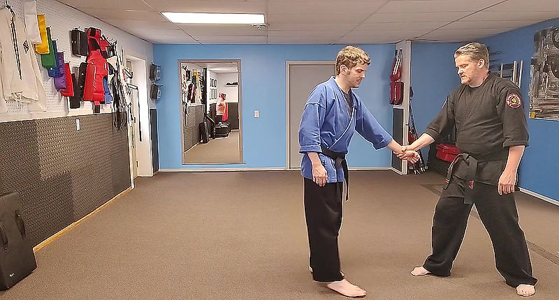 Hapkido Techniques
